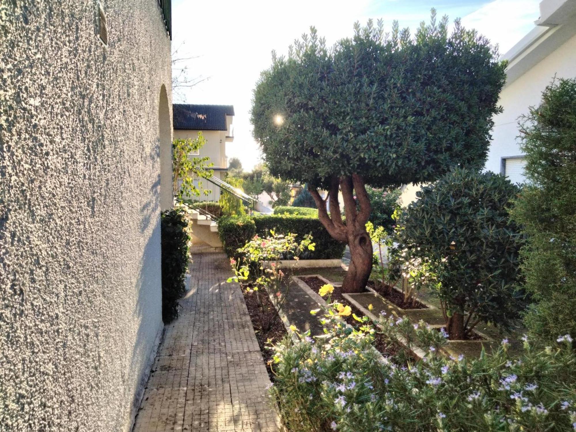 Bed and Breakfast Casa Xantarim Santarém Exterior foto